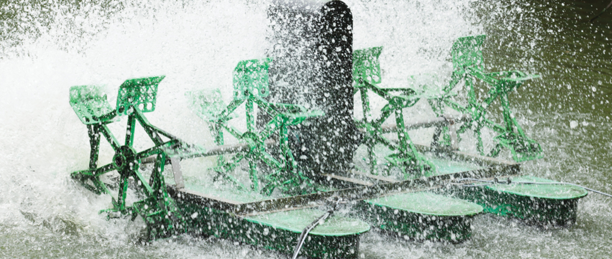 การใช้น้ำ